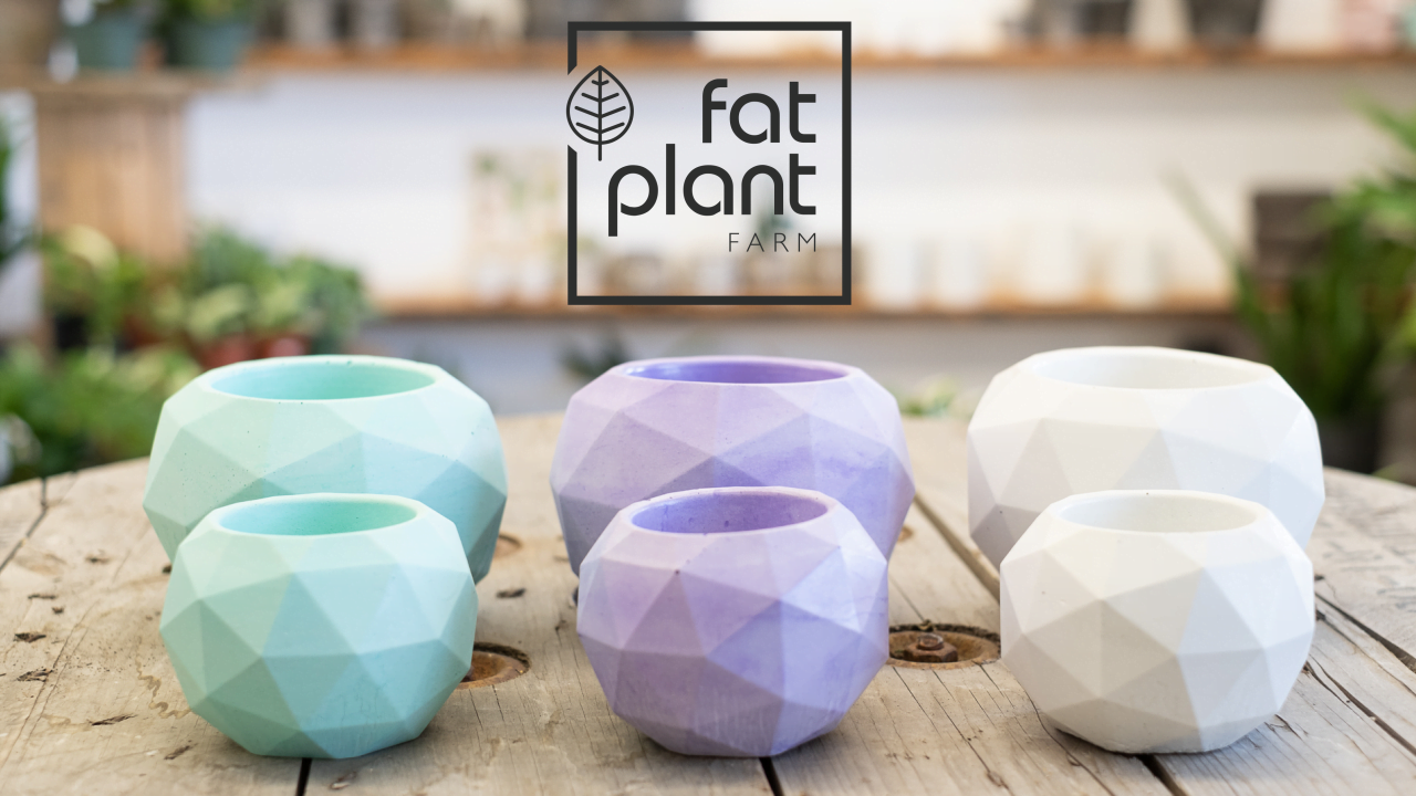 Secret Life Ep. 67 with Kait Waugh from Fat Plant Farm