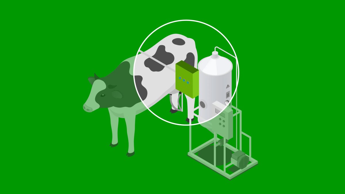 Labby wants to make milk healthier and cows happier with better sensors • ZebethMedia